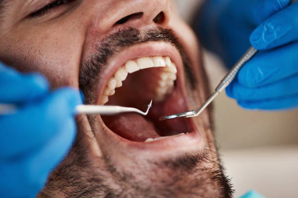 Professional Holistic Dental Care Services in Queen Anne, MD